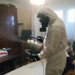 Дезинфекция от клопов в Камызяке