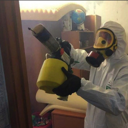 Уничтожение клопов в квартире. Камызяк